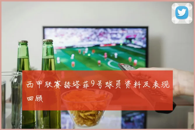 西甲联赛赫塔菲9号球员资料及表现回顾