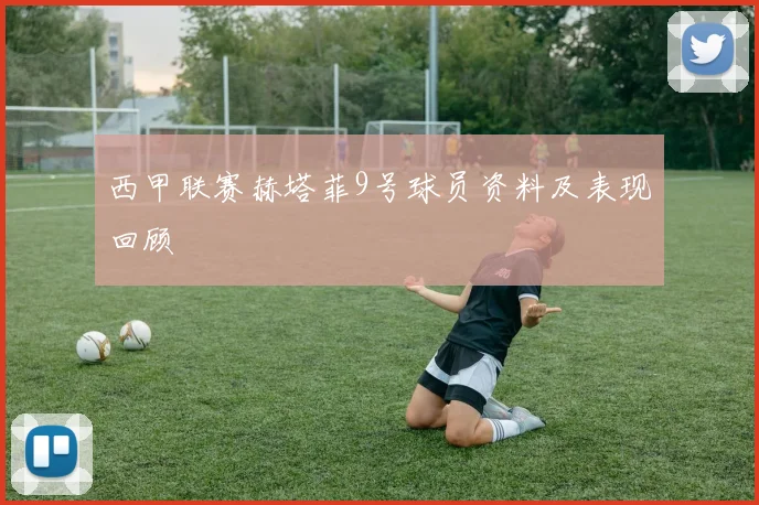 西甲联赛赫塔菲9号球员资料及表现回顾