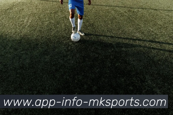 MK体育APP发展历程