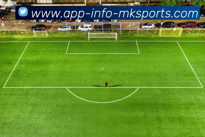 西甲联赛赫塔菲9号球员资料及表现回顾